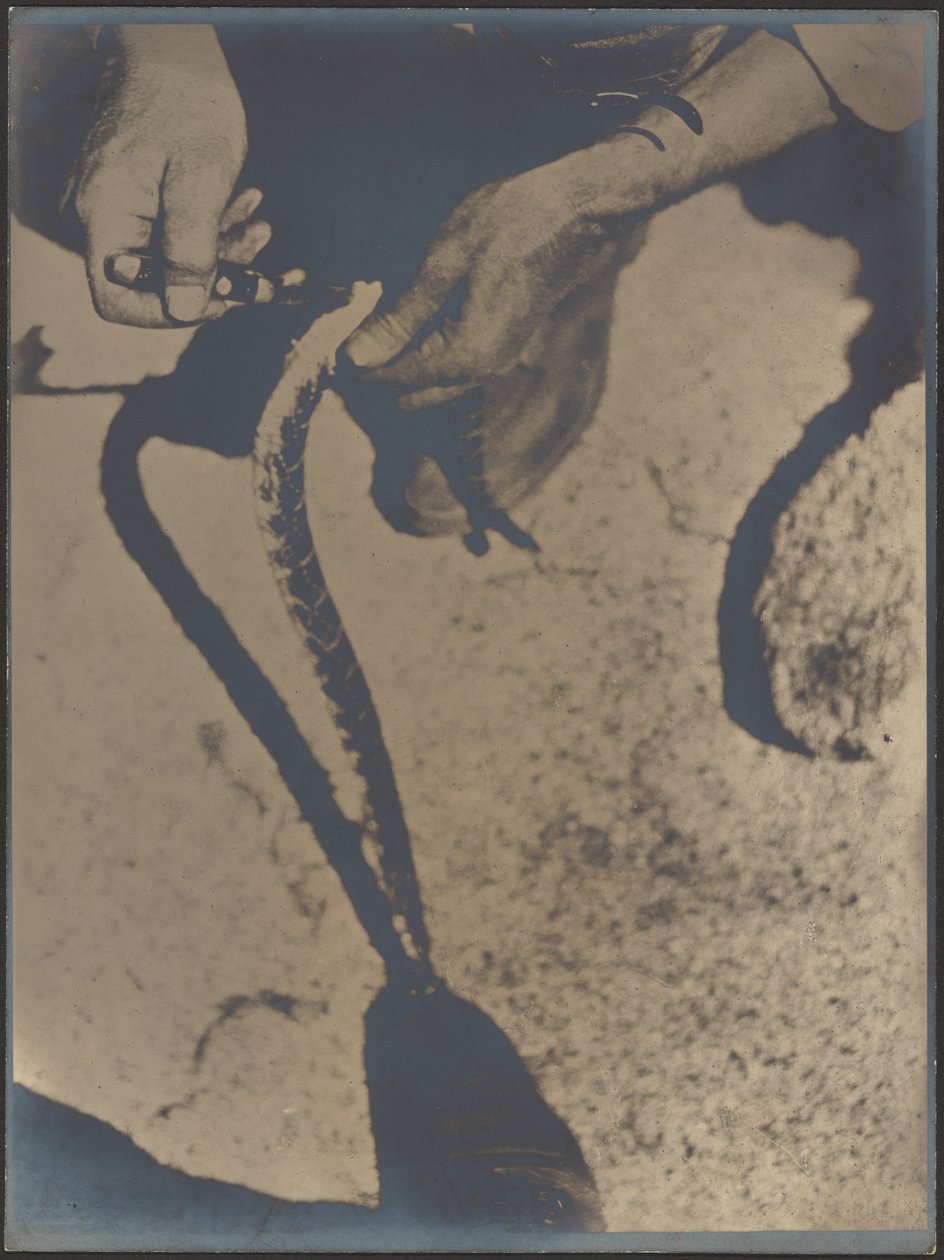 Skinning a Rattlesnake by Louis Fleckenstein