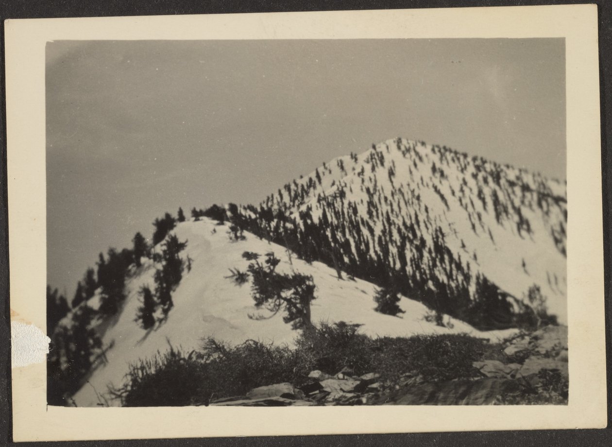 Telescope Peak by Louis Fleckenstein