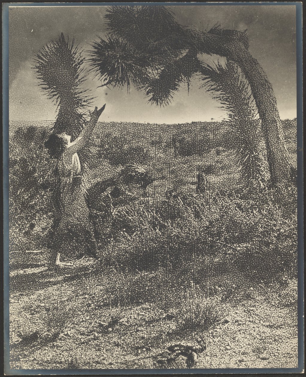 The Benediction by Louis Fleckenstein