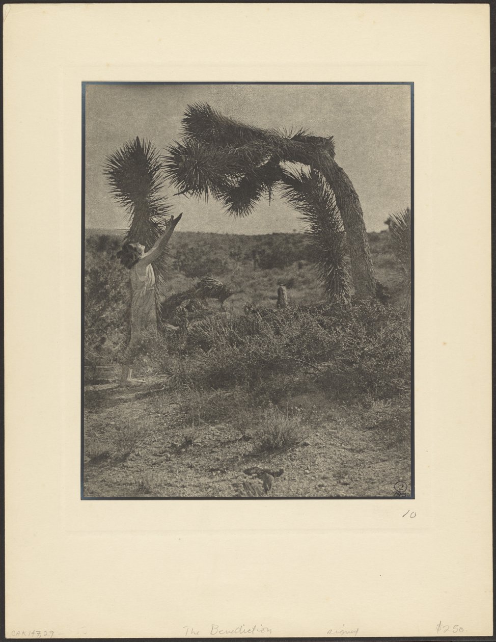 The Benediction by Louis Fleckenstein