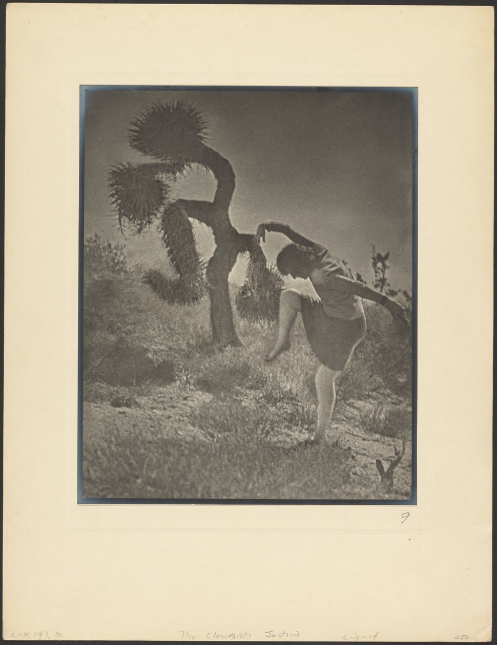 The Clownish Joshua by Louis Fleckenstein