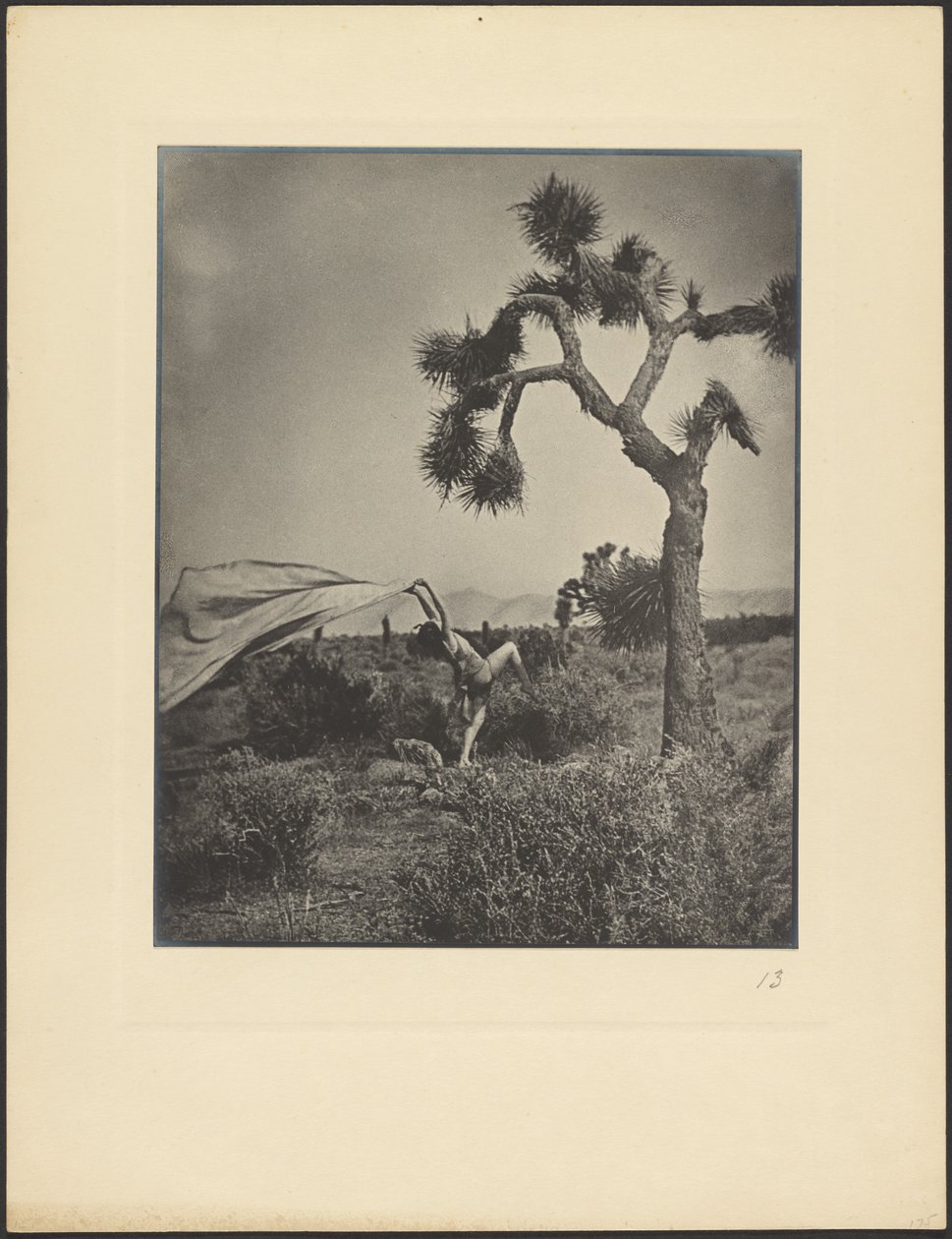 The Desert Wind by Louis Fleckenstein