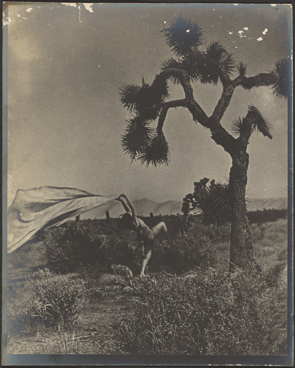 The Desert Wind by Louis Fleckenstein