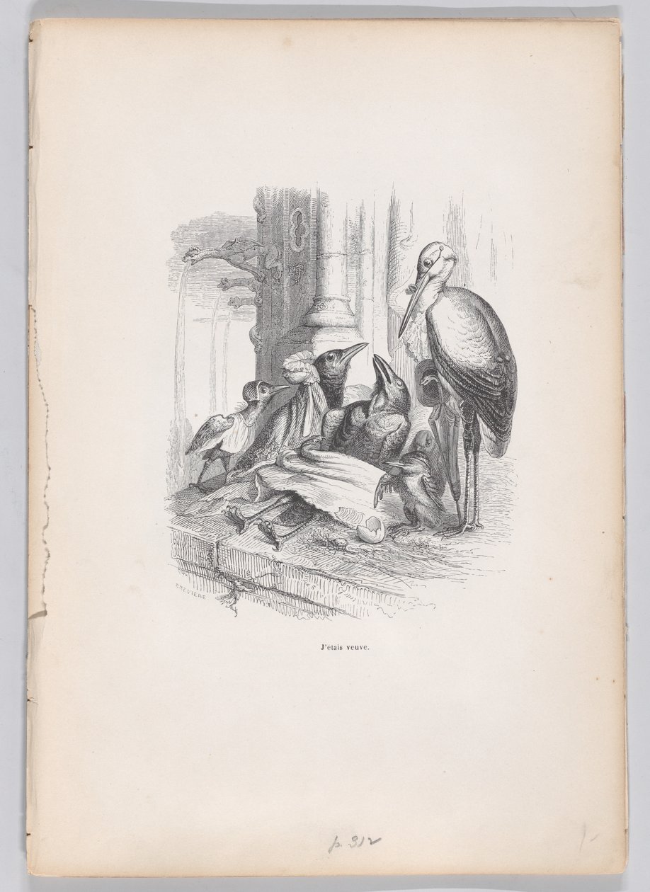 I Was a Widow from Scenes from the Private and Public Life of Animals by Louis Henri Brévière