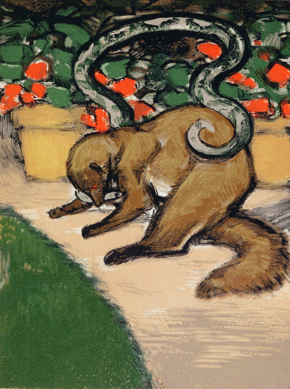 Rikki-Tikki-Tavi, Illustration from 