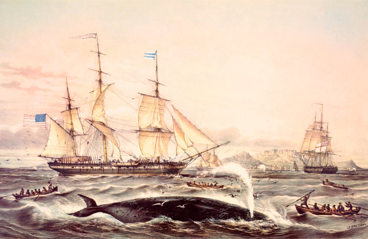 Whaling off the Cape of Good Hope by Louis Le Breton