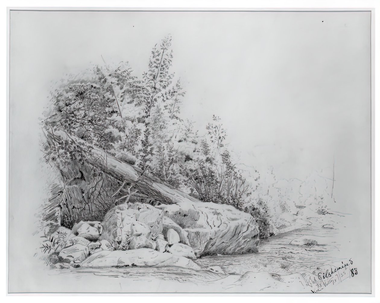 Fallen Tree, Keene Valley, July 25, 1883 by Louis Michel Eilshemius
