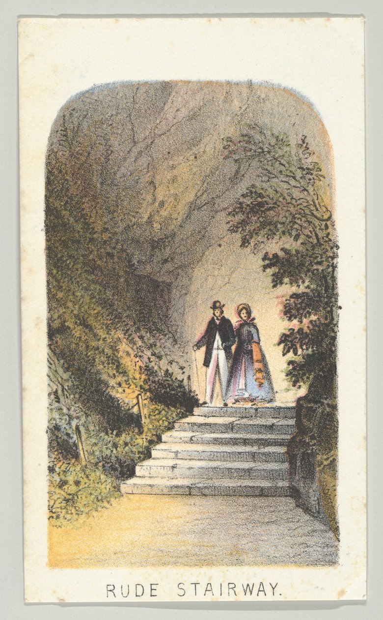 Rude Stairway, from the series, Views in Central Park, New York, Part 2, 1864 by Louis Prang
