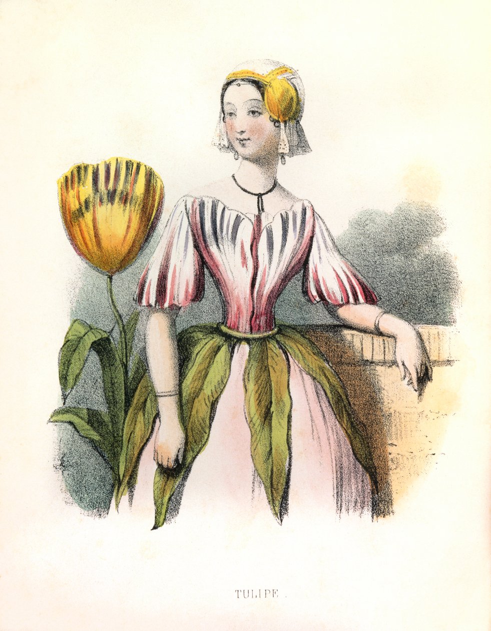 Allegory, the Tulip by Louis Simon (1810-1870) Lassalle