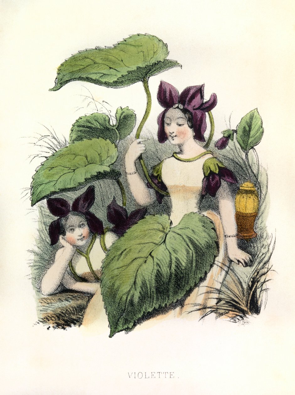 Allegory, the Violet by Louis Simon (1810-1870) Lassalle