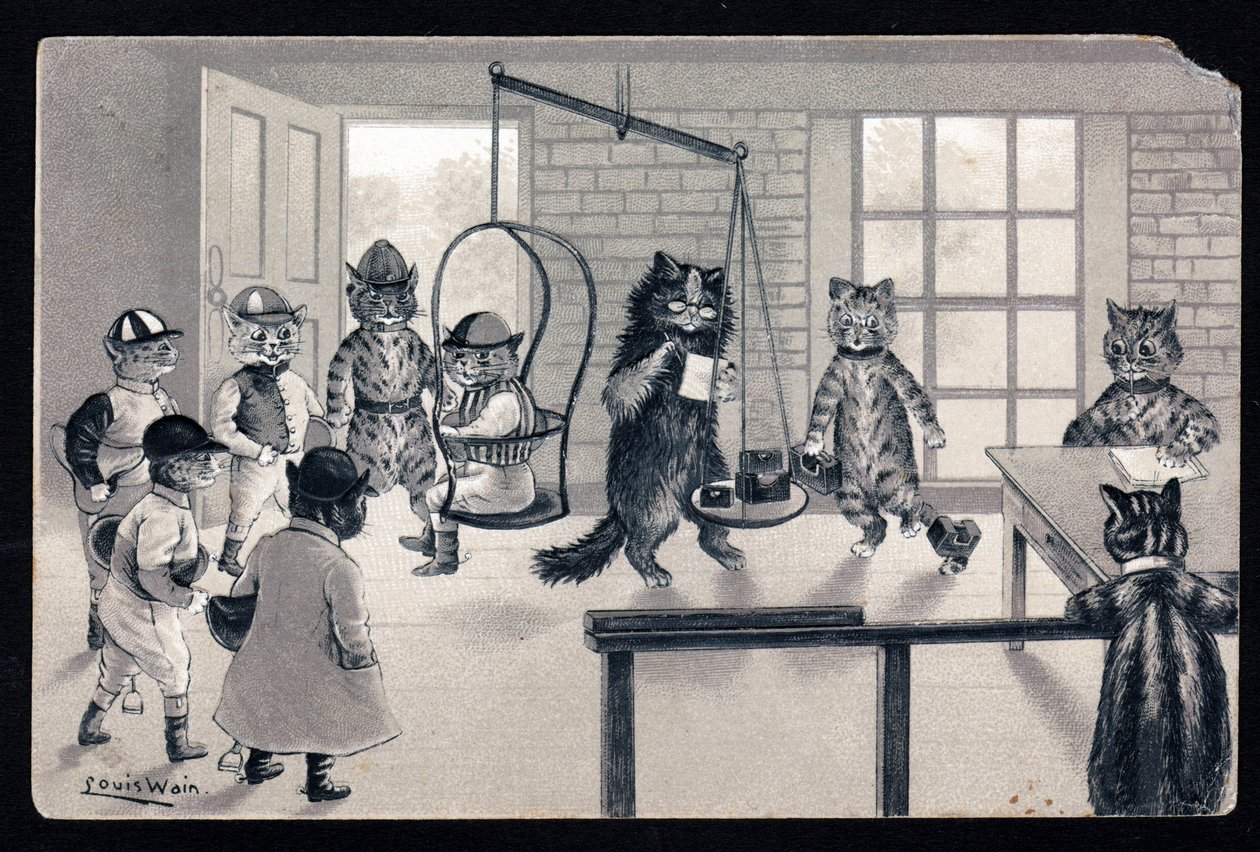 We enjoy the good weather. Animals in human posture. Cat as jockey being weighed on a scale. Postcard. Chromolithograph by Louis Wain, early 20th century. Private collection by Louis Wain