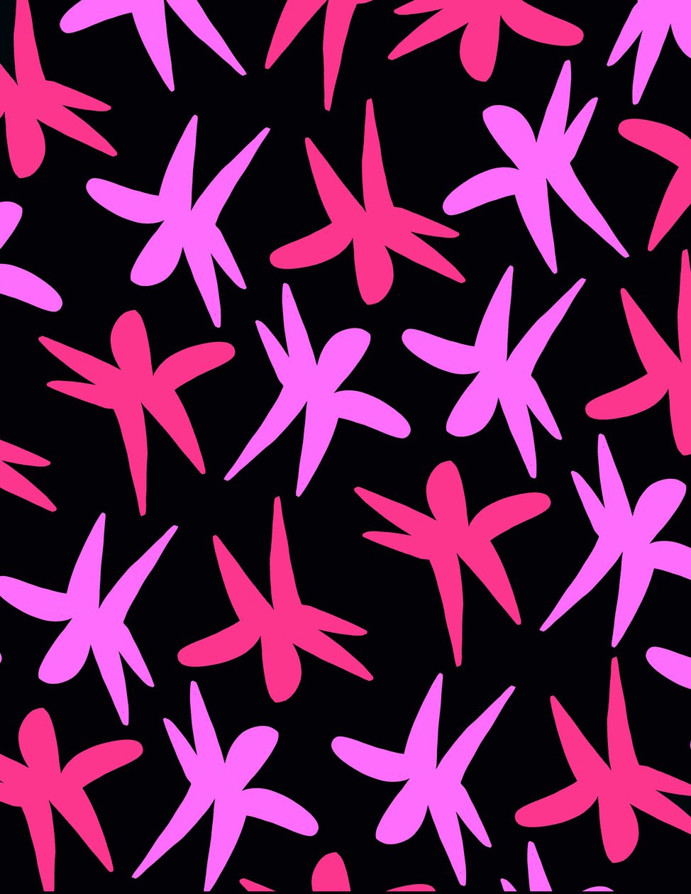 Flower Stars by Louisa Hereford