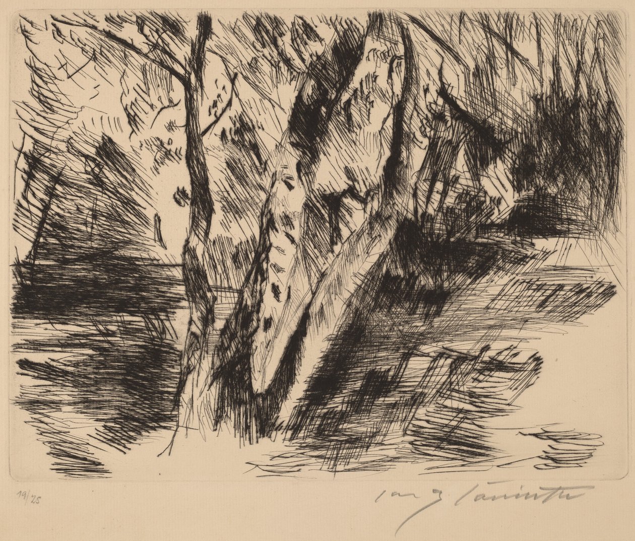Birch Trees in the Tiergarten by Lovis Corinth