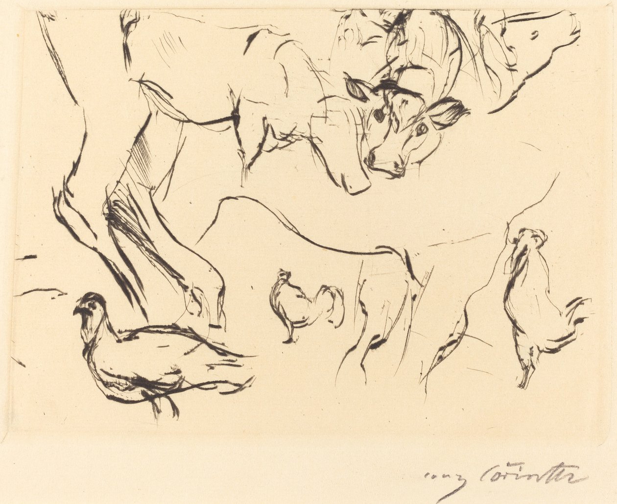 Animal Studies by Lovis Corinth