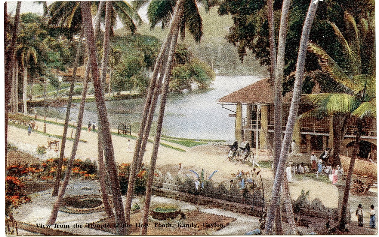 View from the Temple of the Holy Tooth, Kandy, Ceylon, c.1900-20 by Ltd. Ceylon Plâté