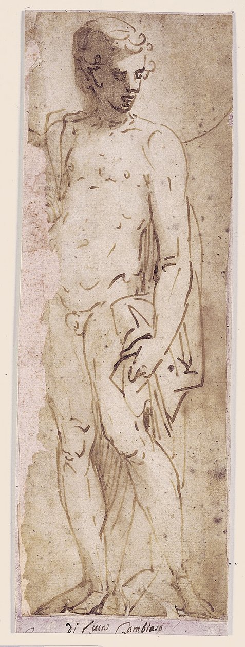 Youth with a Mantle Standing in a Niche by Luca Cambiaso
