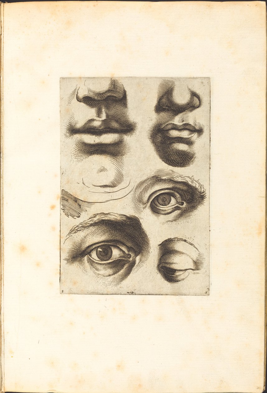 Print from Drawing Book by Luca Ciamberlano