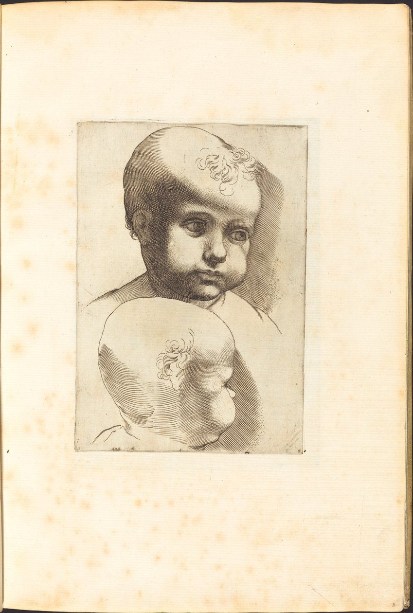 Print from Drawing Book by Luca Ciamberlano