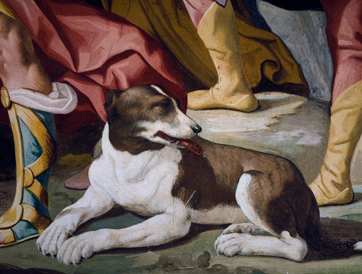 Dog (detail) by Luca Ferrari