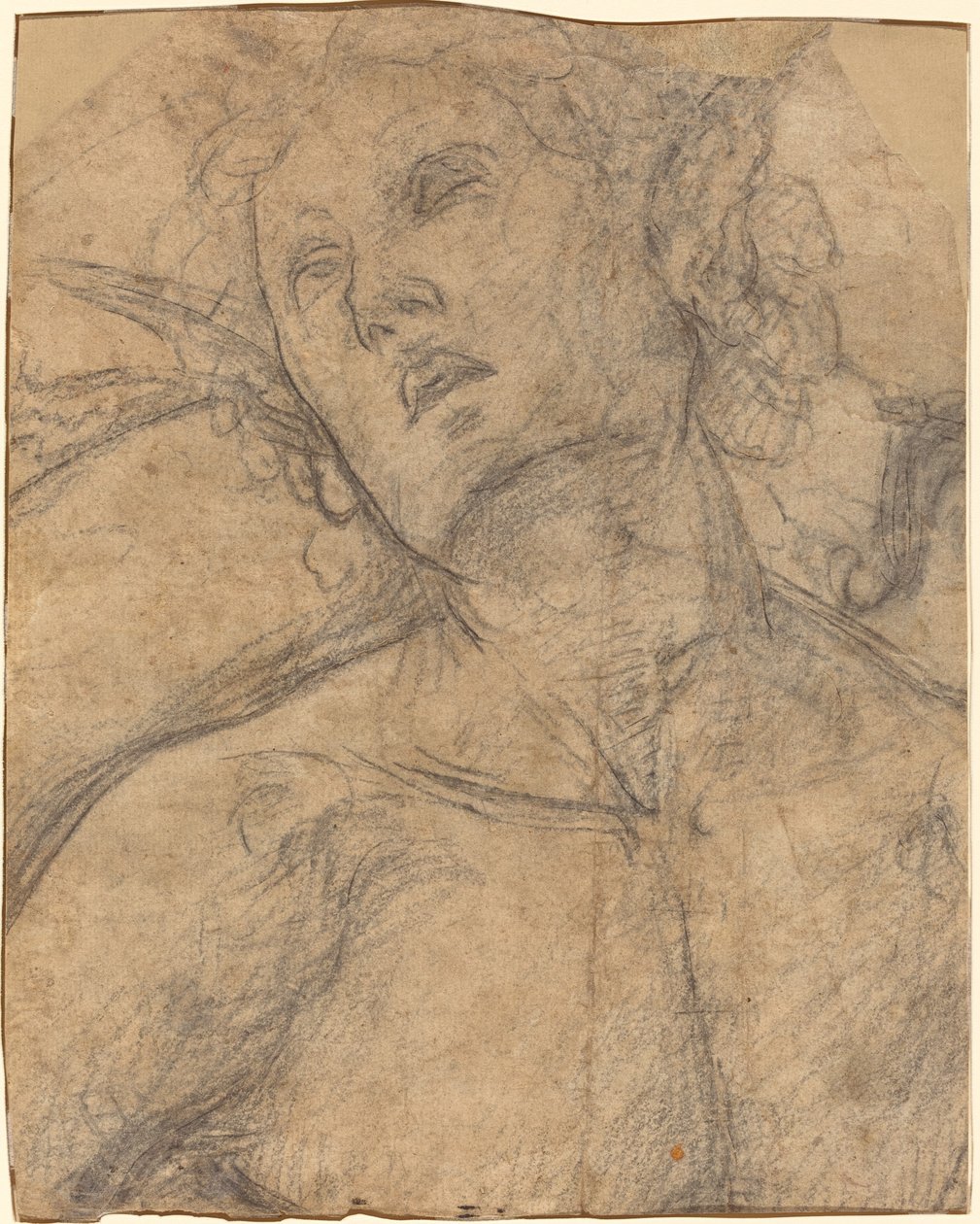 Bust of a Youth Looking Upward by Luca Signorelli