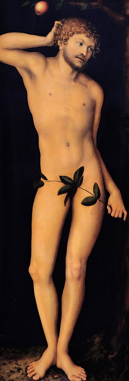 Adam, 1528 by Lucas Cranach the Elder