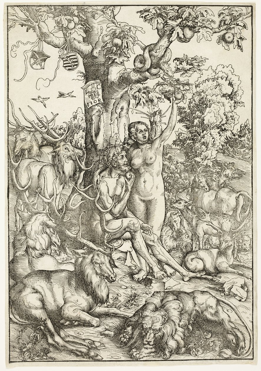 The Fall of Man by Lucas Cranach the Elder
