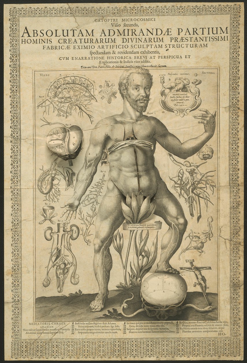 Second Vision, from Mirrors of the Microcosm by Lucas Kilian
