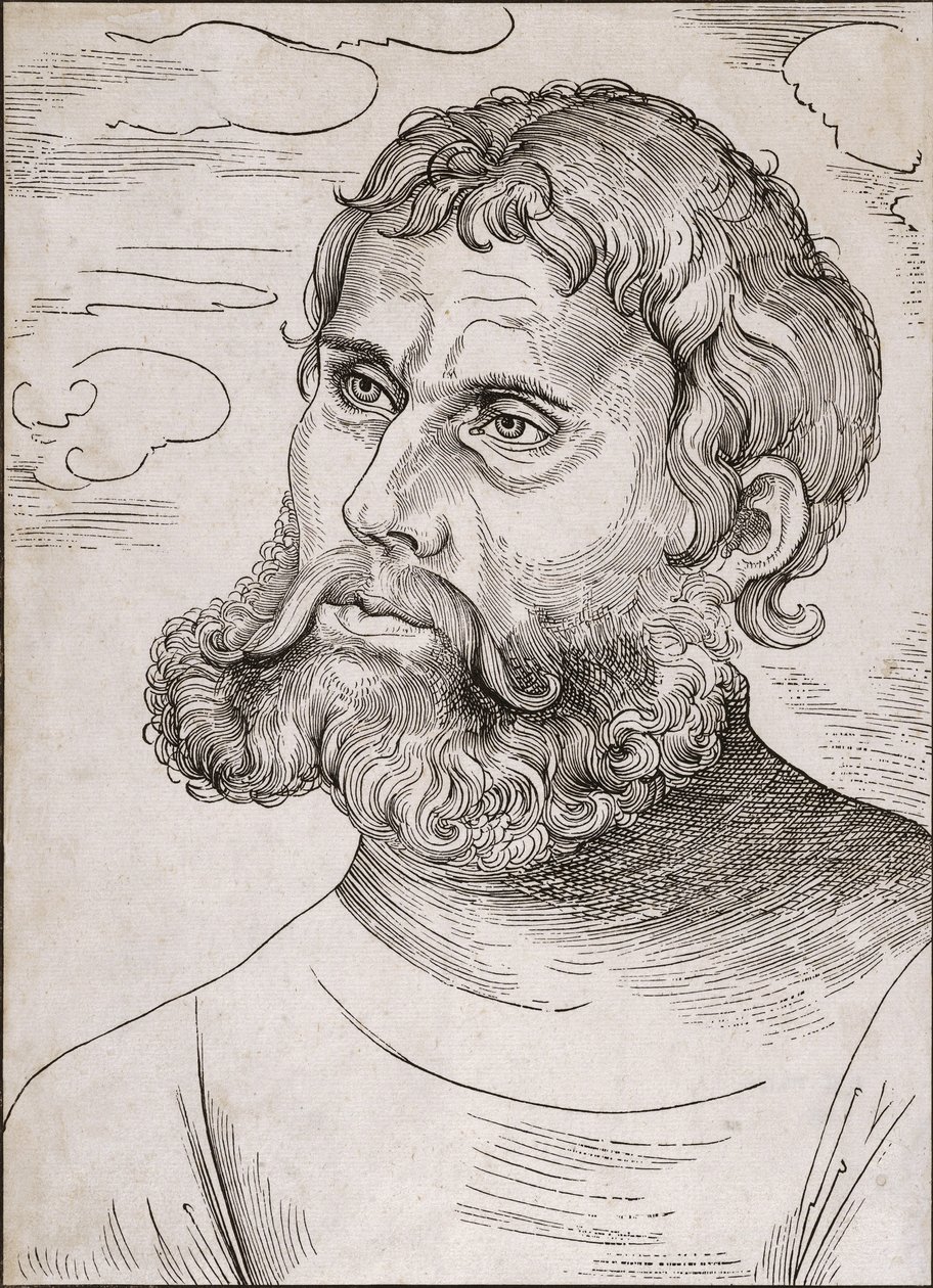 Portrait of Martin Luther as 