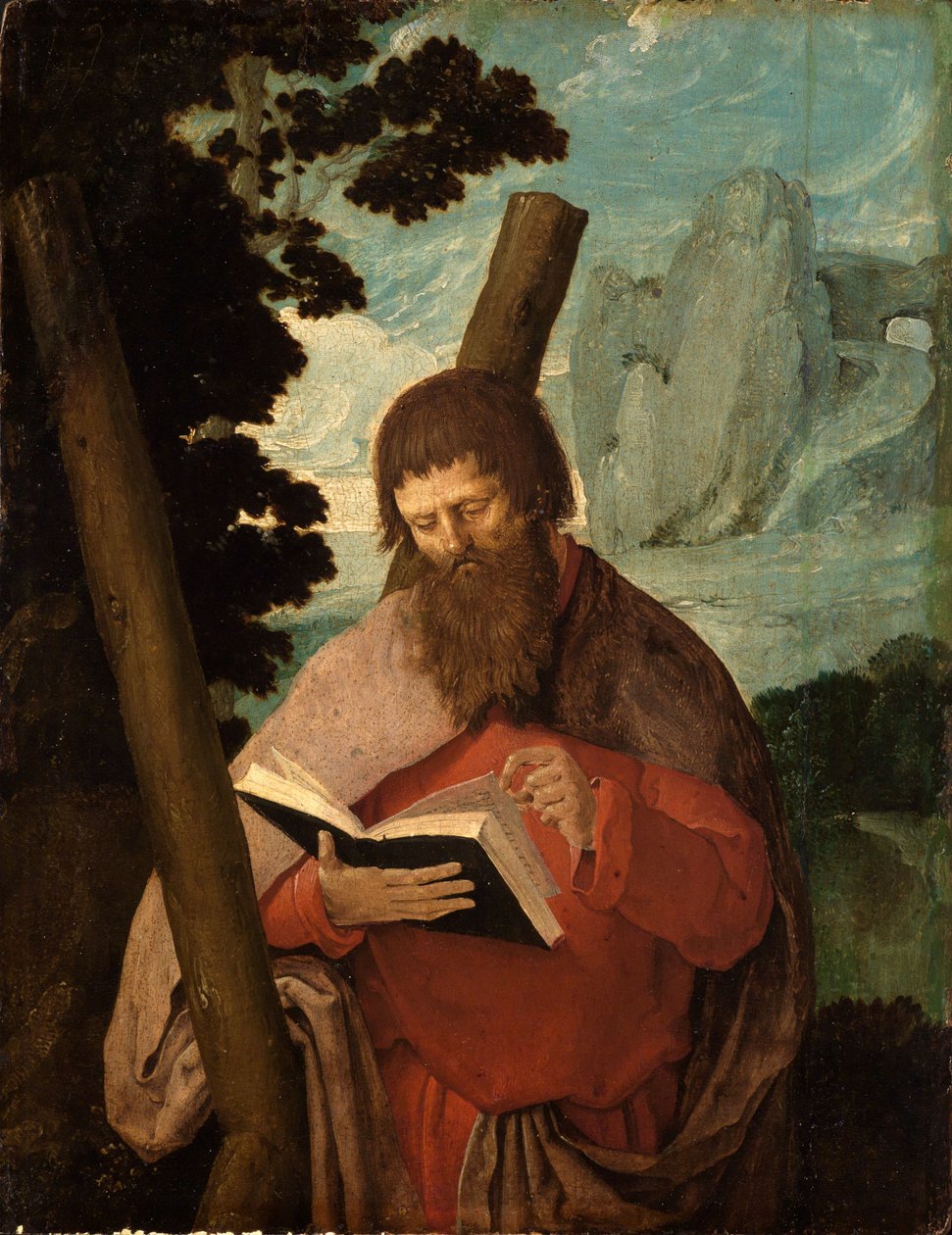 Saint Andrew, half-length by Lucas van Leyden