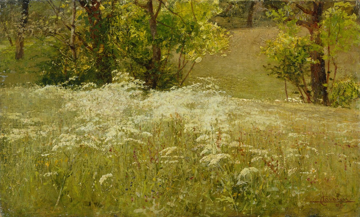 Cow Parsley in a Meadow by Ludovico Cavaleri
