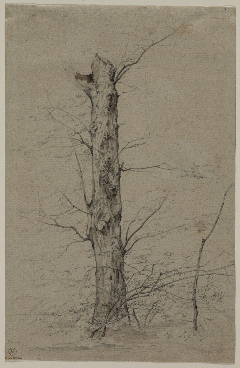 Tree by Ludwig Ferdinand Schnorr von Carolsfeld