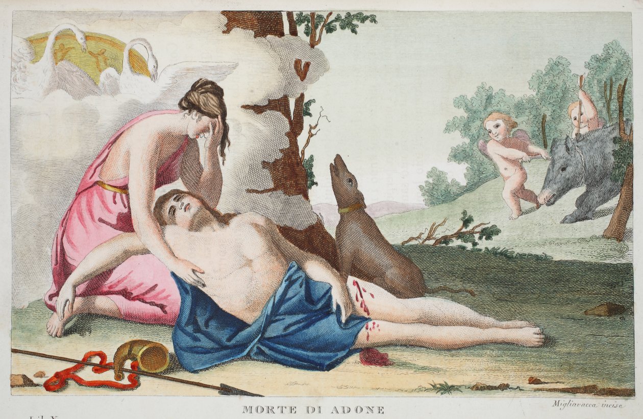 Death of Adonis, Book X, illustration from Ovid