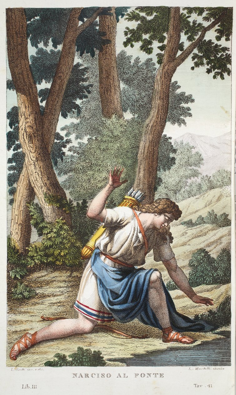 Narcissus into a Flower, Book III, Illustration from Ovid's ...