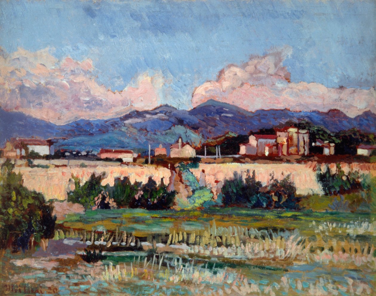 Houses and Gardens in Ardenza by Luigi Levi