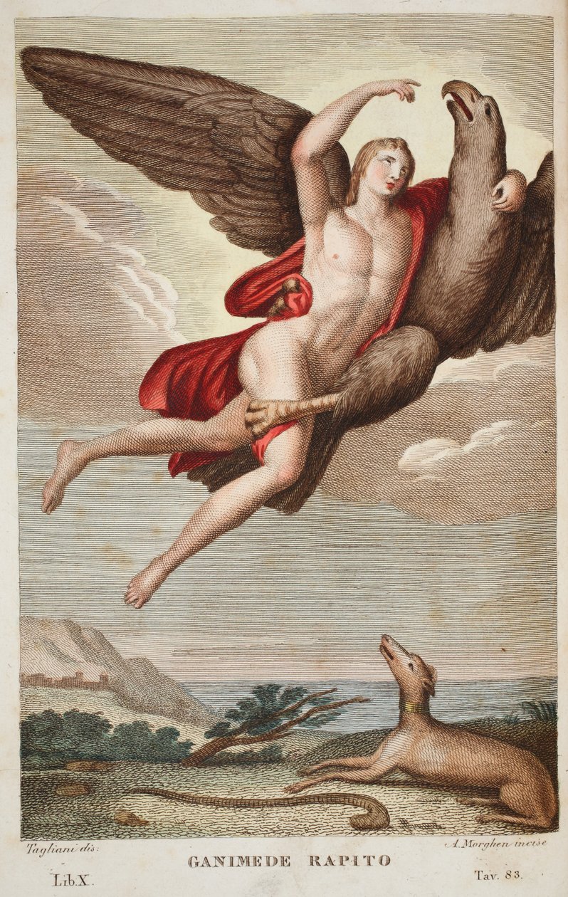 Ganymede carried off into Heaven, Book X, illustration from Ovid