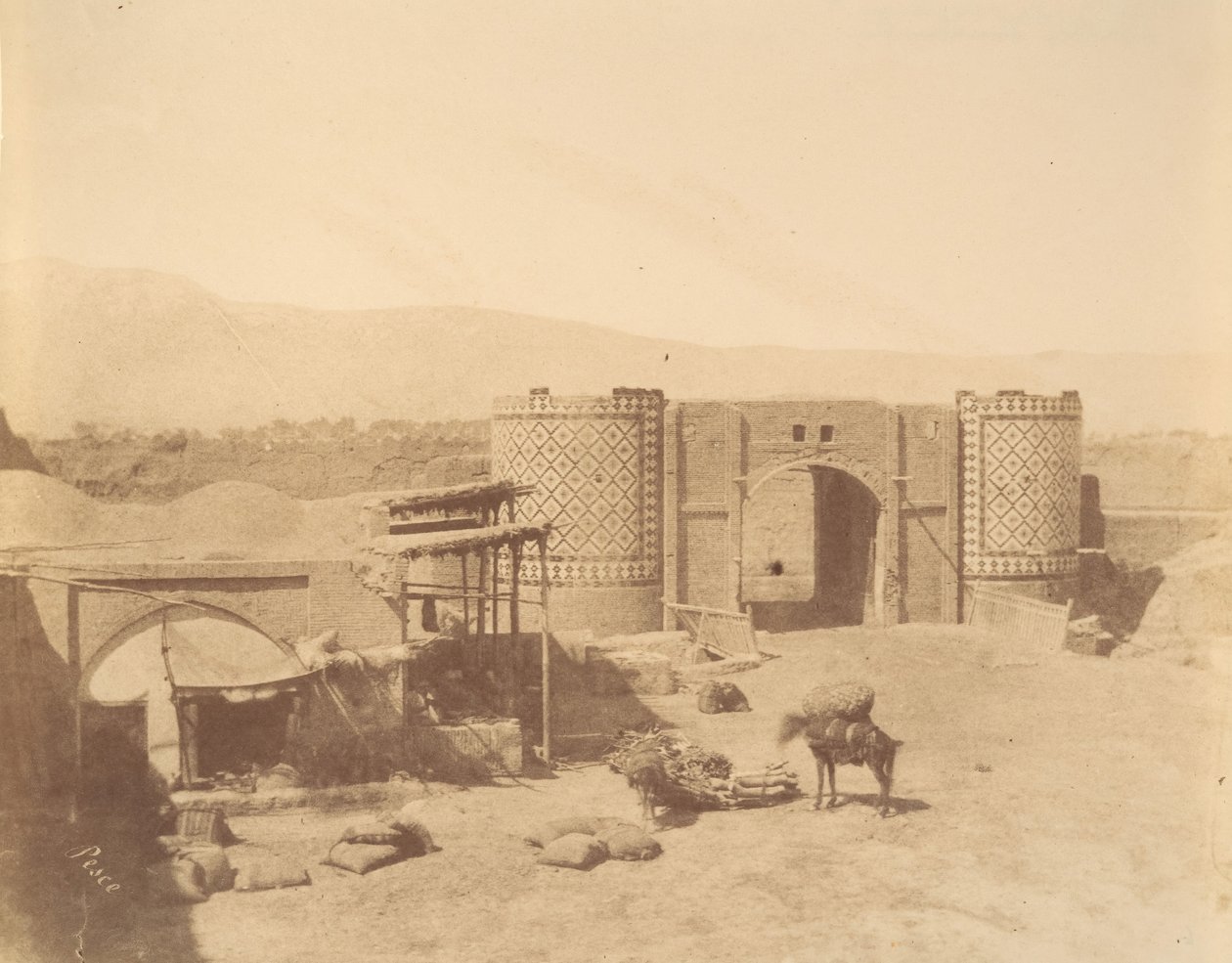 Gate of Government, Teheran, Iran by Luigi Pesce