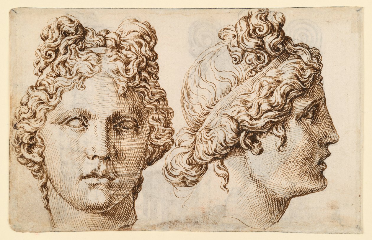 Two Views of an Antique Head by Maarten van Heemskerck