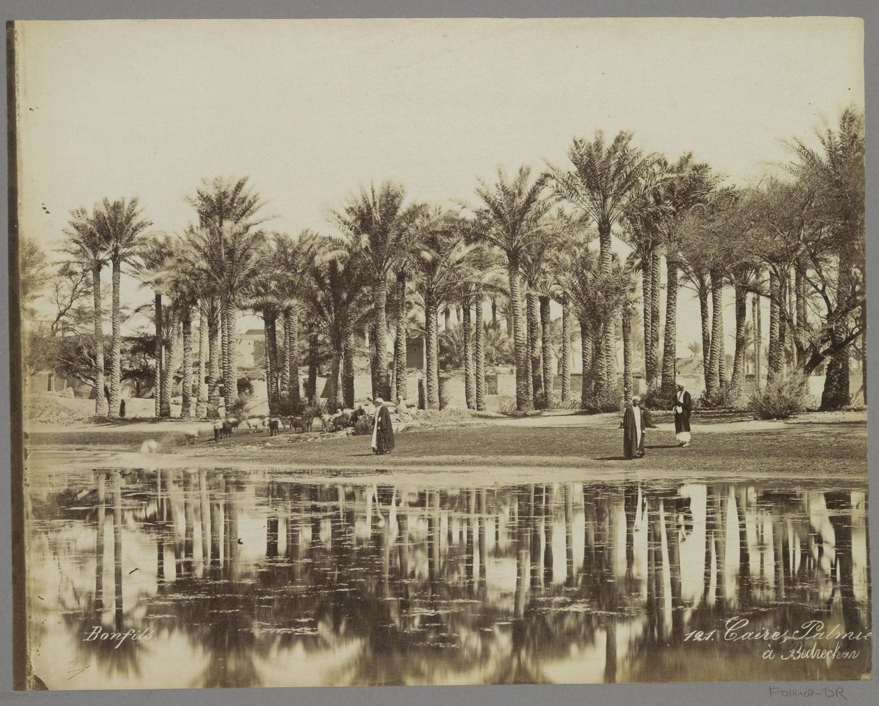 Men with Goats Under Palms by the Water in Bedrechen by Maison Bonfils