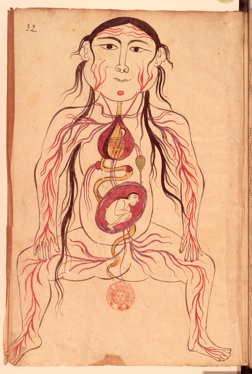 Anatomical diagram of a woman and her foetus by Mansour b. Eliyas Chirazi