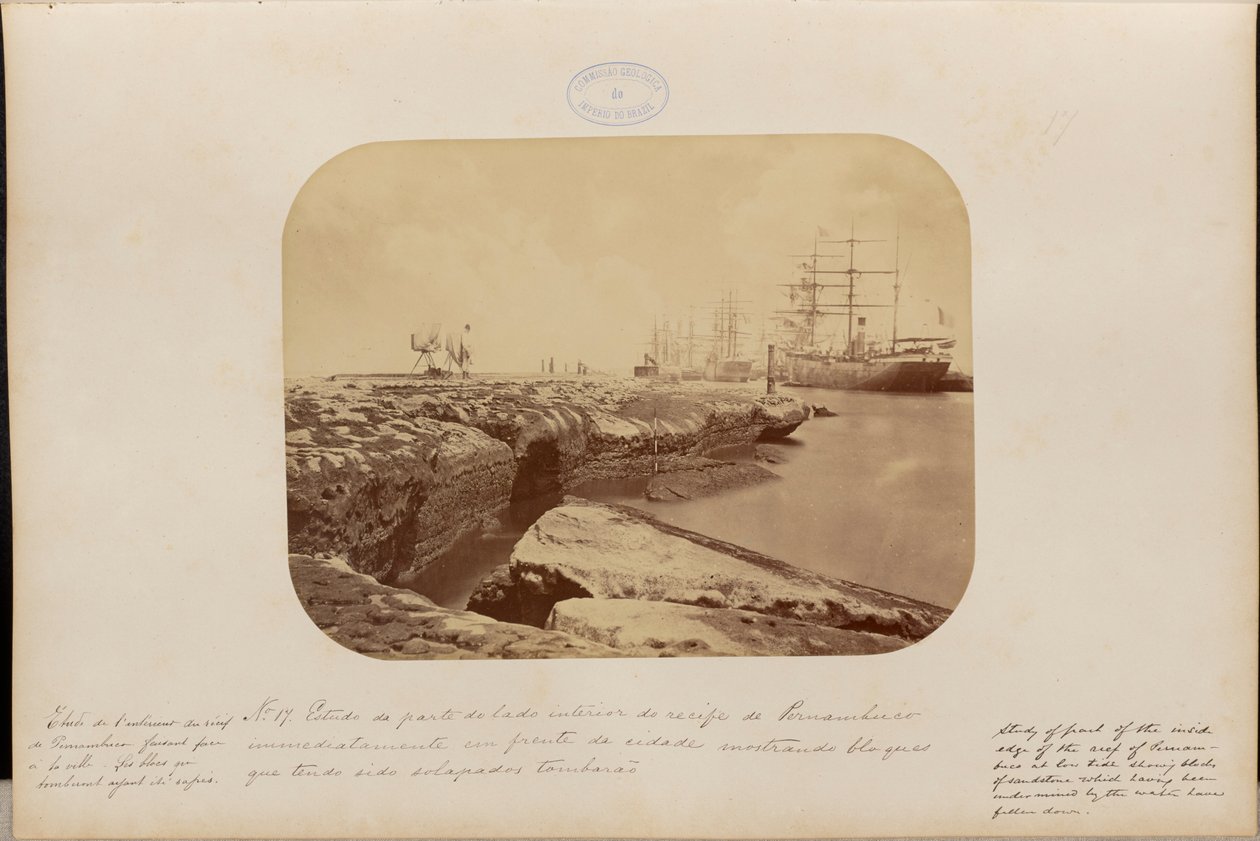 Study of the Inner Side of the Reef of Pernambuco Directly Opposite the City Showing Blocks that Have Been Undermined and Fallen by Marc Ferrez