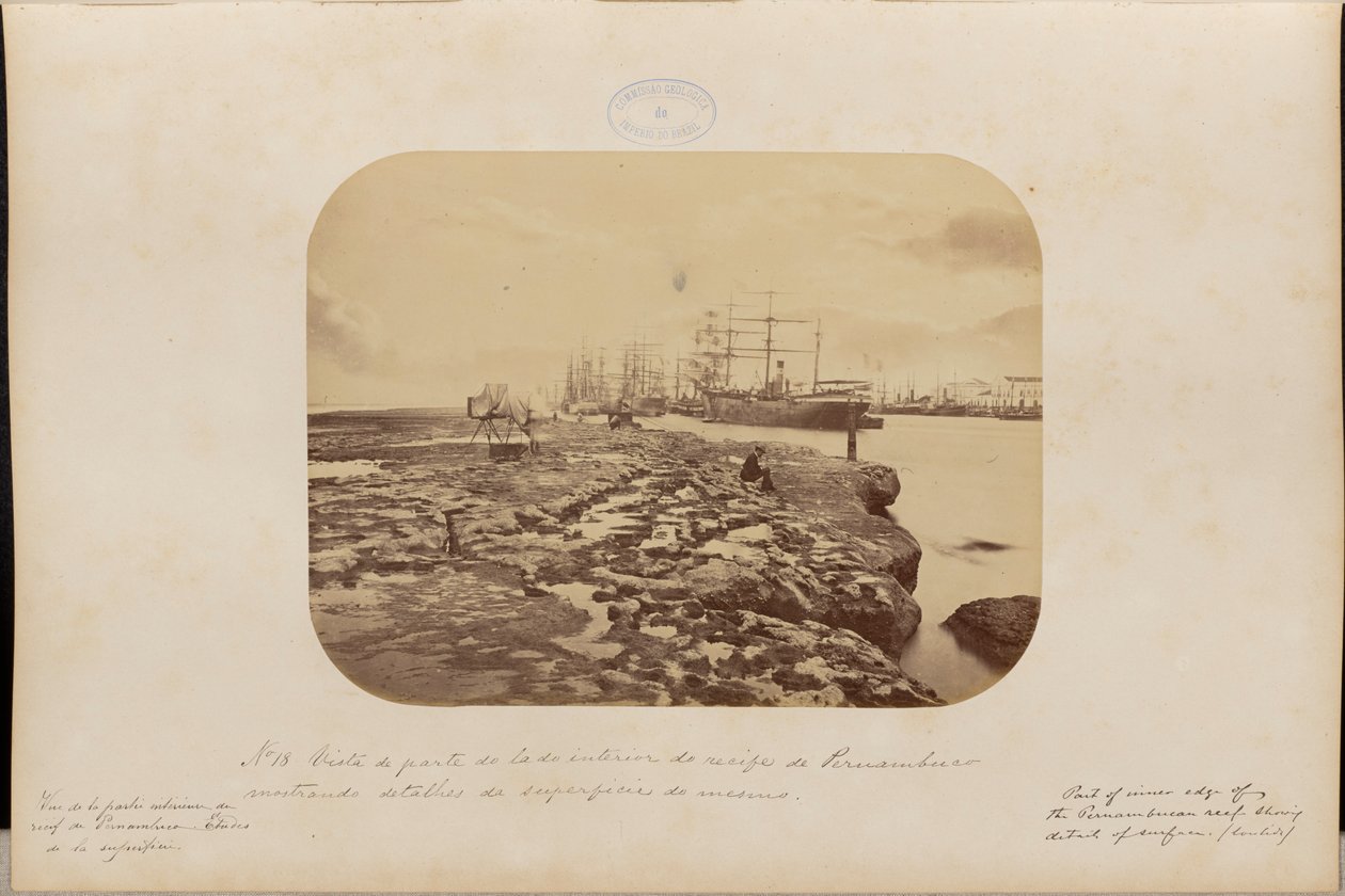 View of Part of the Interior of the Recife of Pernambuco showing Surface Details by Marc Ferrez
