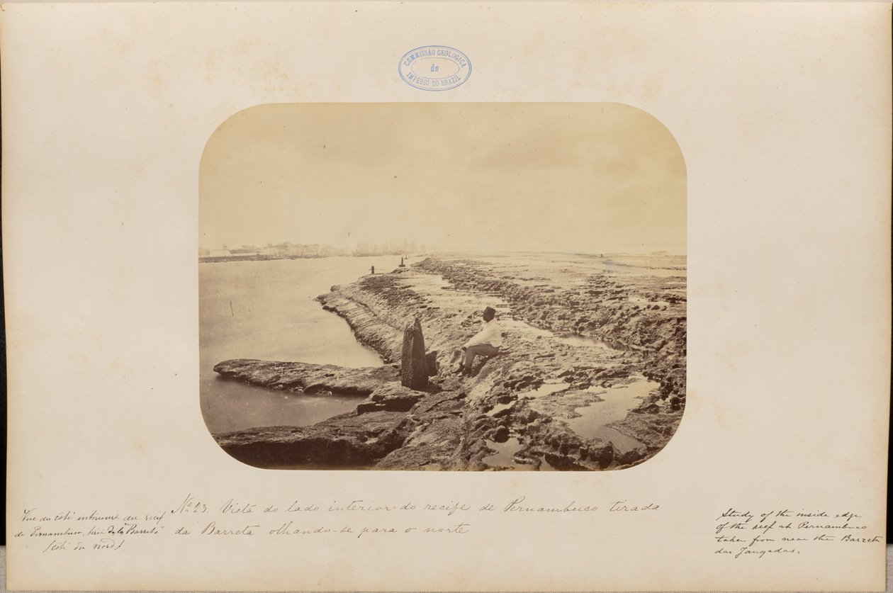View from the Interior Side of the Reef of Pernambuco Taken from Barreta Looking North by Marc Ferrez