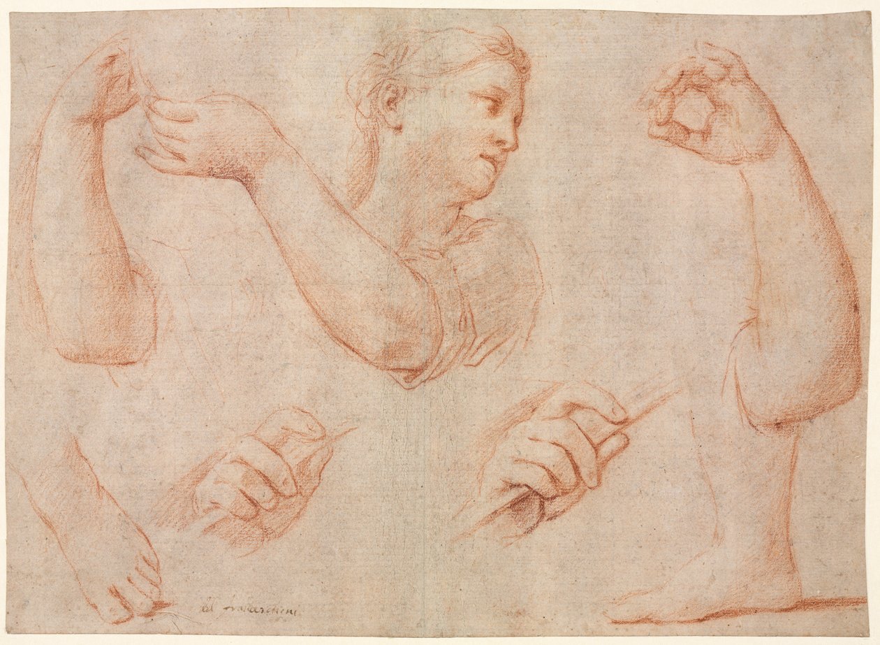 Study of a Young Woman Playing a Tambourine, and Studies of an Arm, Hands, and Feet (Studies for "Miriam Leading the Chorus of Women Who Give Thanks for the Routing of Pharoah") by Marcantonio Franceschini