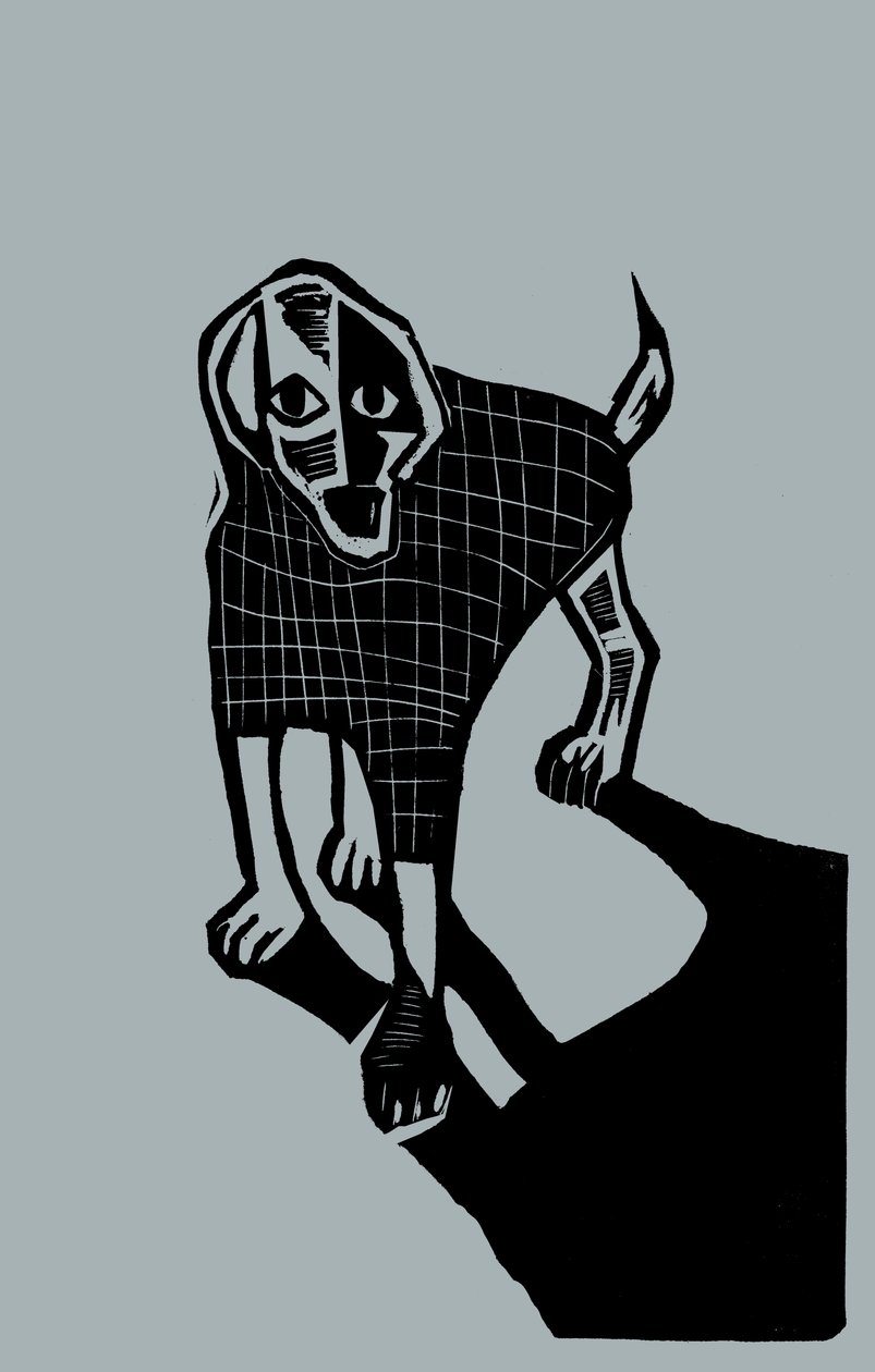 Dog, 2023 by Marco Campedelli