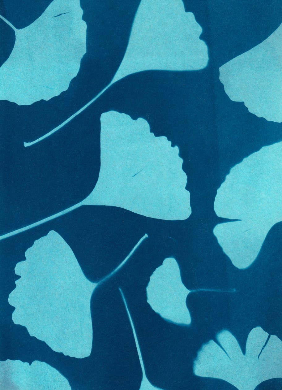 Ginkgo Biloba 146, 2023 by Marco Campedelli