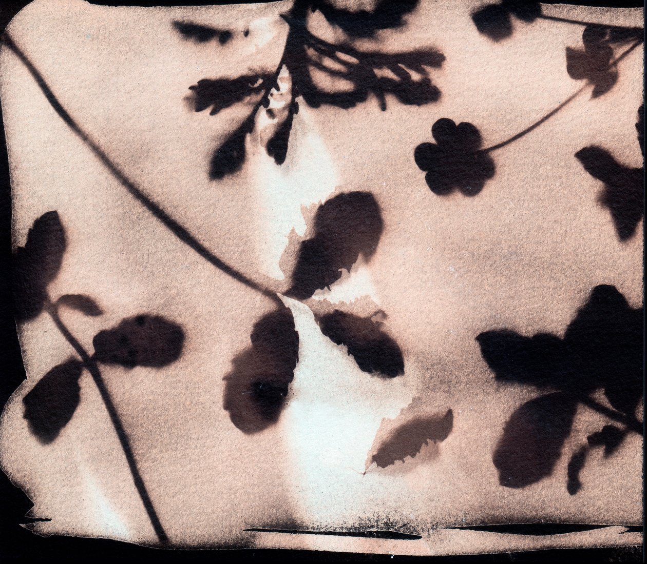 Nature, 2023 by Marco Campedelli