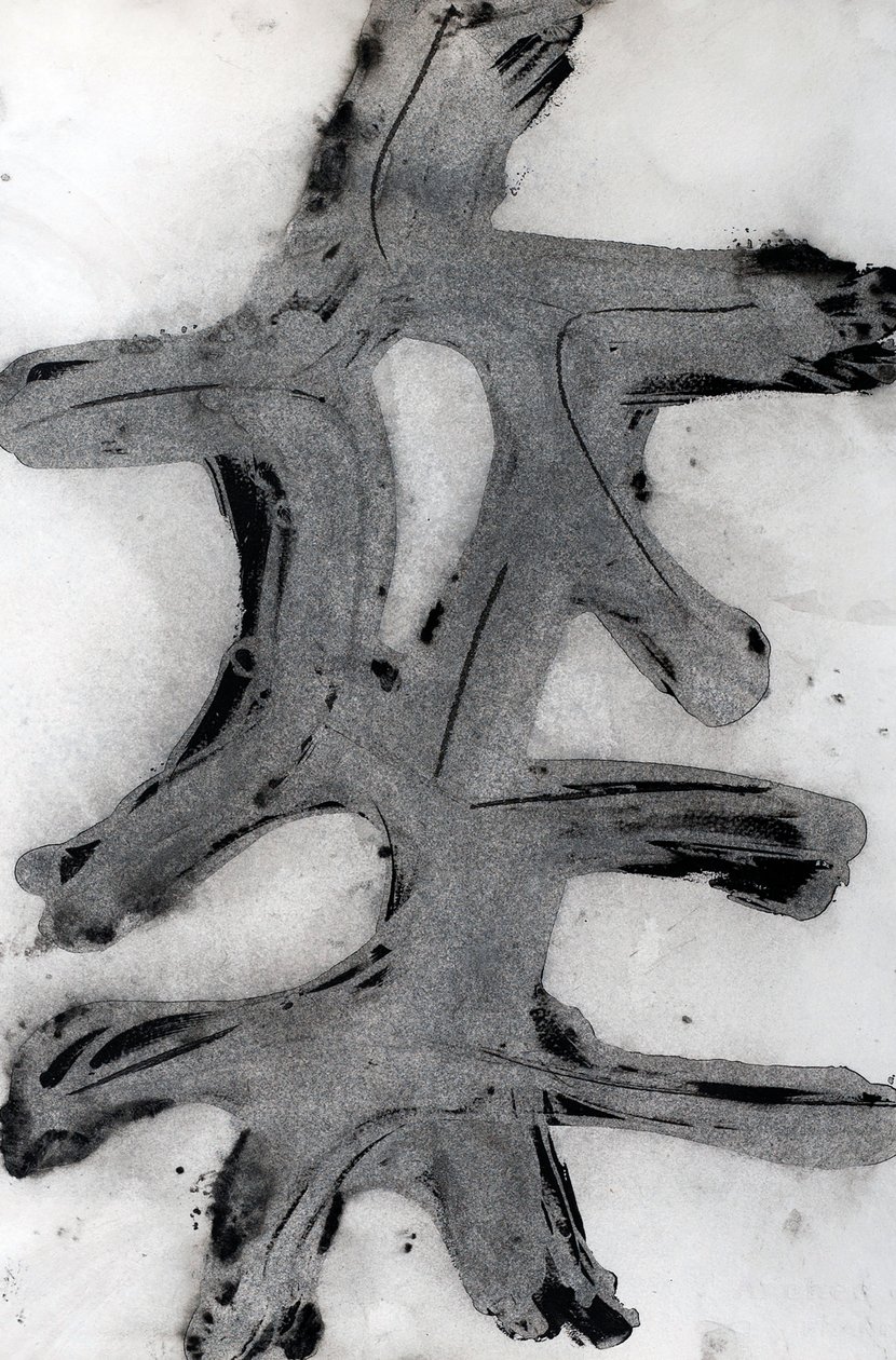 Ramas, 2014 by Marco Campedelli