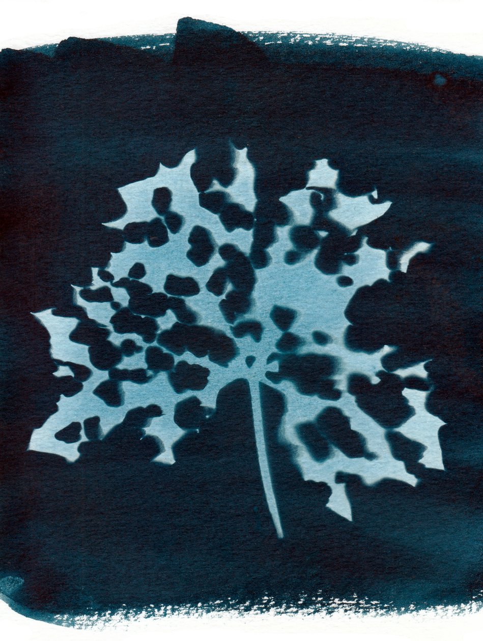 Sick Leaf by Marco Campedelli