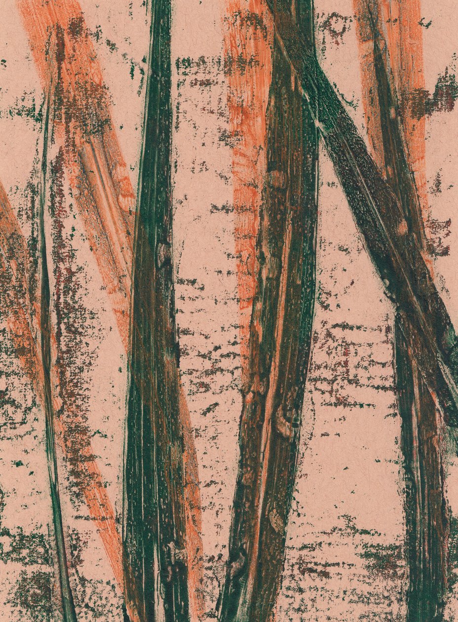 Wild oats by Marco Campedelli