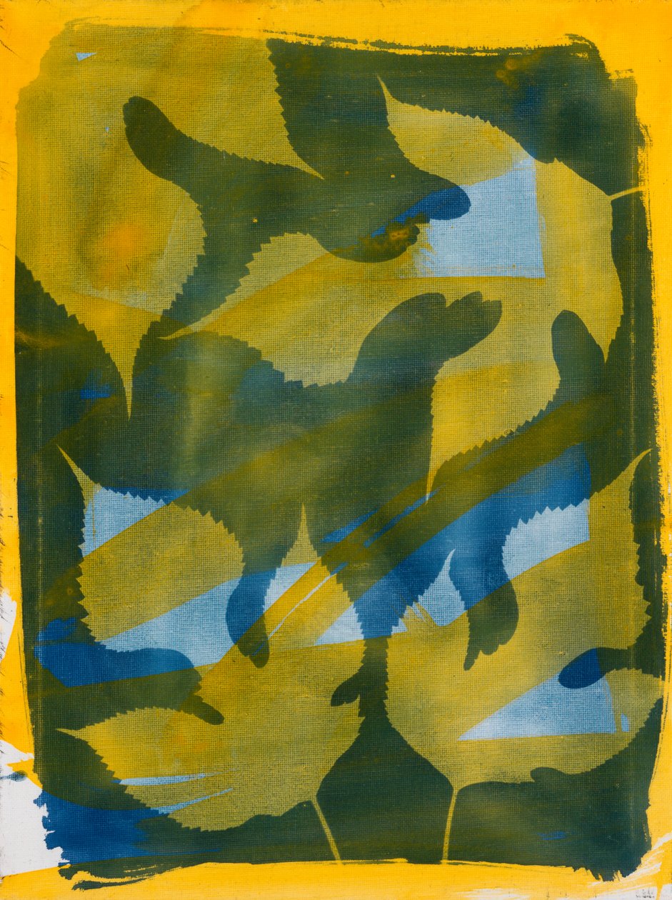 Wind, 2023 by Marco Campedelli